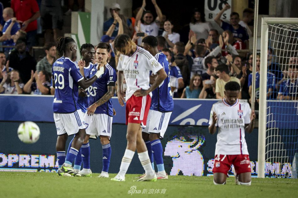 苍蝇打破了 苍蝇打破了