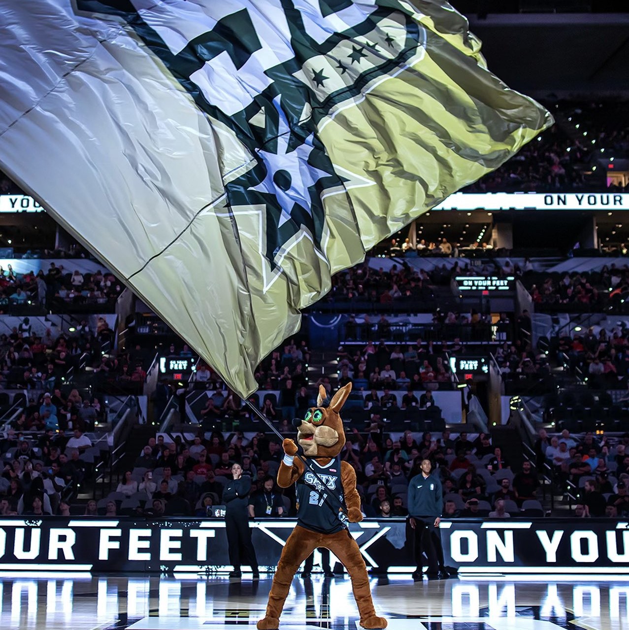 经过精心设 经过精心设